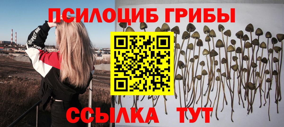 Великий Устюг  Псилоцибиновые грибы MAGIC MUSHROOMS  Вход с VPN 